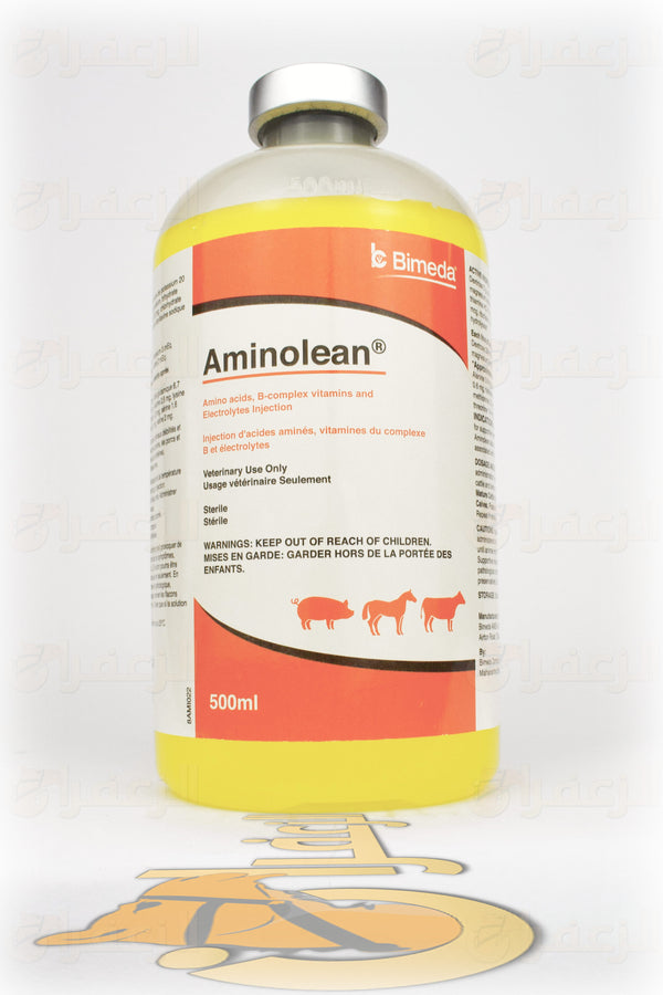 AMINOLEAN | امينوليان | الزعفران | مقويات | بيطرية | هجن | خيول