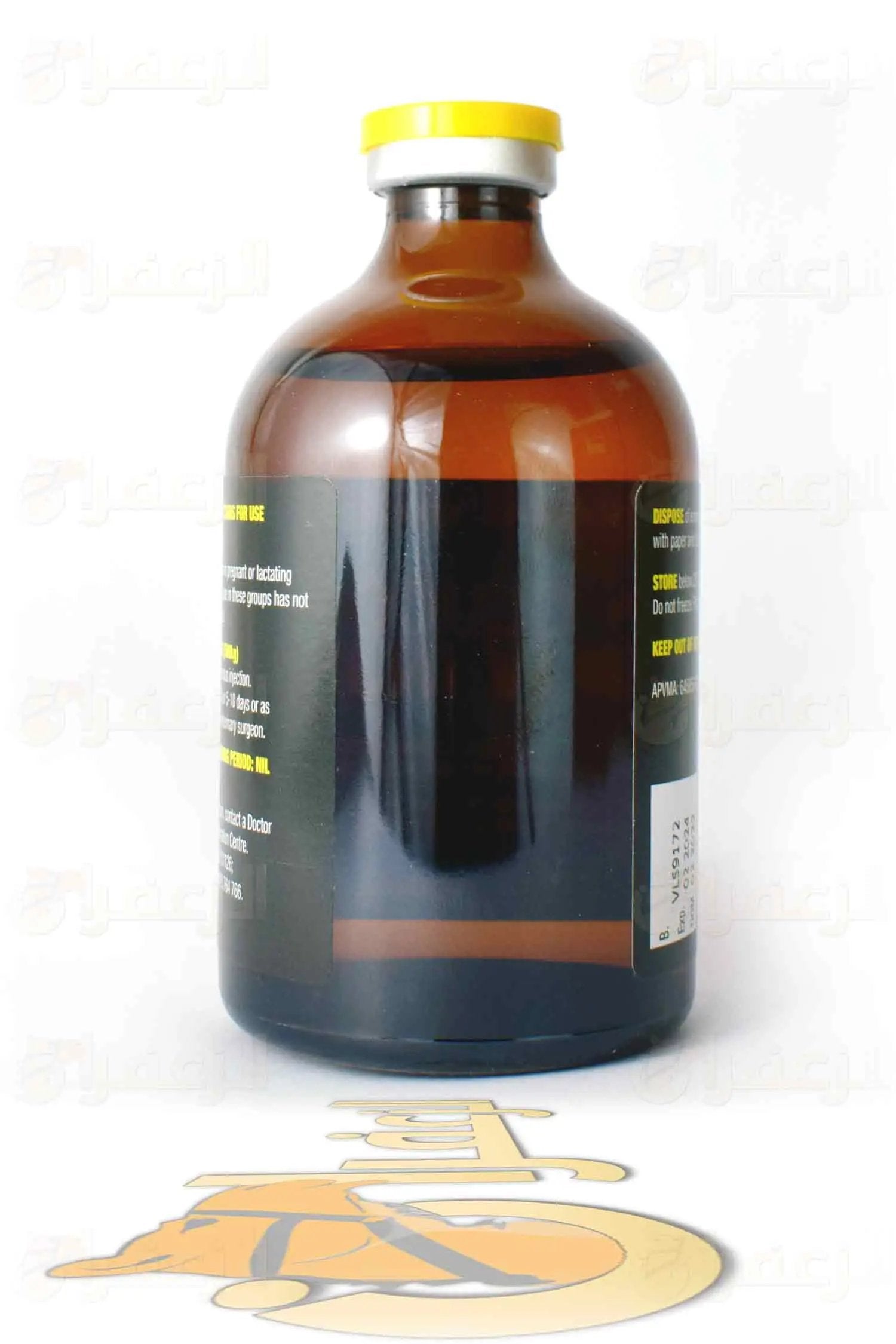 جلوكوزامين 100  ار دبليو ار \ GLUCOSAMINE RWR - الزعفران