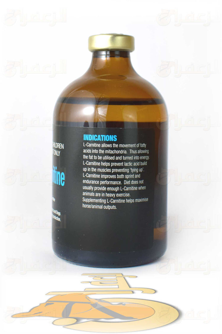 L-CARNITINE RWR | إل-كارنيتين آر دبليو آرL-CARNITINE RWR | إل-كارنيتين آر دبليو آر | الزعفران | مقويات | بيطرية | هجن | خيول