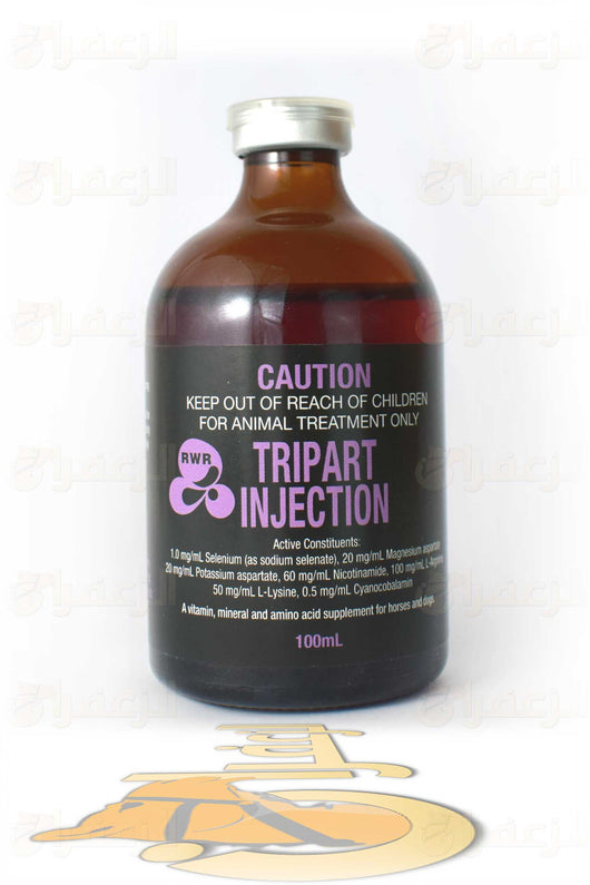 TRIPART RWR camel supplement injection bottle with English label showing active ingredients for horses and camels. Used for recovery and performance.